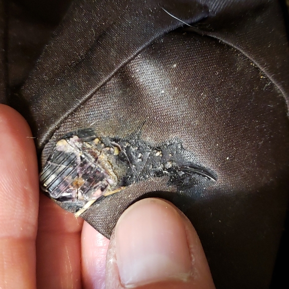 Chocolate & bronze Coach shoulder purse - Picture 9 of 16